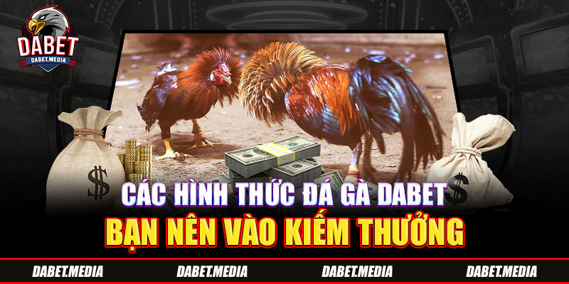 Các hình thức đá gà Dabet bạn nên vào kiếm thưởng