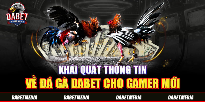 Khái quát thông tin về đá gà Dabet cho gamer mới