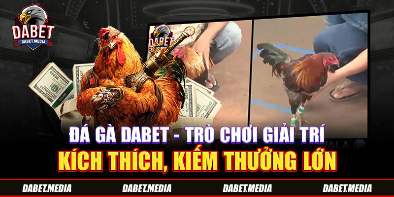 Đá Gà Dabet - Trò Chơi Giải Trí Kích Thích, Kiếm Thưởng Lớn